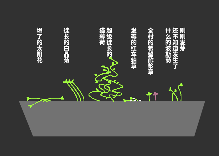 植物大乐园